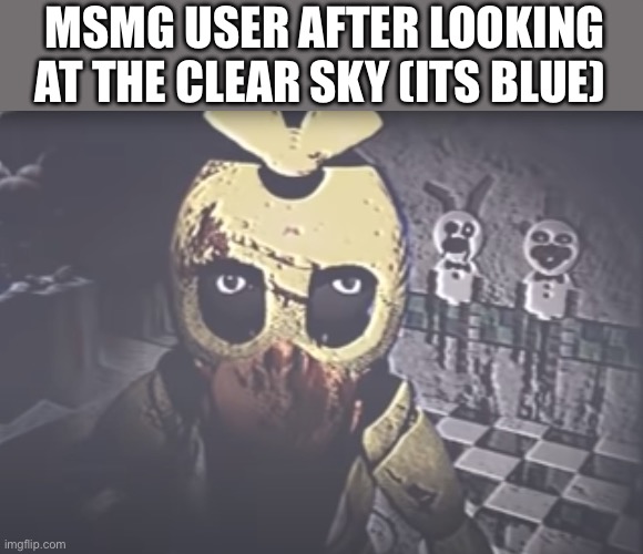 Withered Chica staring | MSMG USER AFTER LOOKING AT THE CLEAR SKY (ITS BLUE) | image tagged in withered chica staring | made w/ Imgflip meme maker