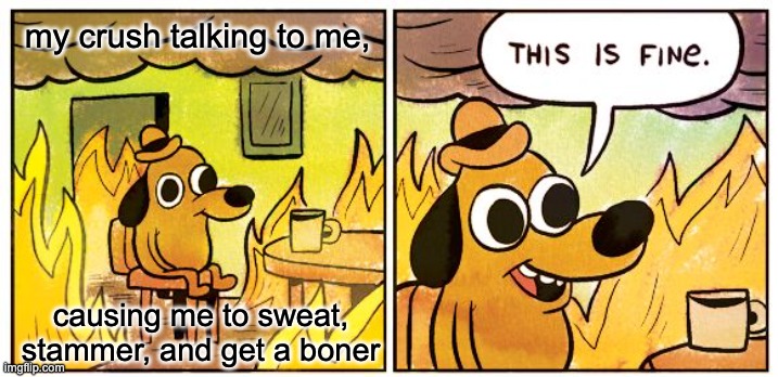 HELP | my crush talking to me, causing me to sweat, stammer, and get a boner | image tagged in memes,this is fine,when your crush | made w/ Imgflip meme maker