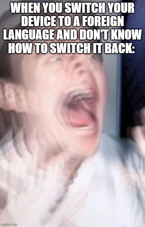 i hate it when this happens | WHEN YOU SWITCH YOUR DEVICE TO A FOREIGN LANGUAGE AND DON'T KNOW HOW TO SWITCH IT BACK: | image tagged in freaking out | made w/ Imgflip meme maker