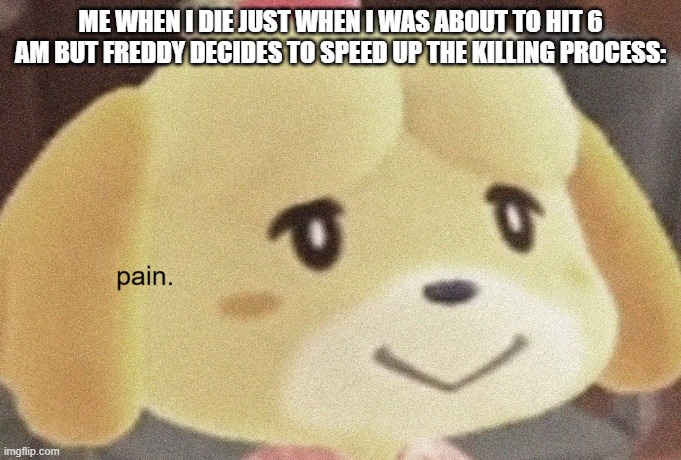 pain. | ME WHEN I DIE JUST WHEN I WAS ABOUT TO HIT 6 AM BUT FREDDY DECIDES TO SPEED UP THE KILLING PROCESS: | image tagged in isabelle pain | made w/ Imgflip meme maker