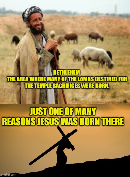 BETHLEHEM 
THE AREA WHERE MANY OF THE LAMBS DESTINED FOR THE TEMPLE SACRIFICES WERE BORN. JUST ONE OF MANY REASONS JESUS WAS BORN THERE | image tagged in shepherd,jesus crossfit | made w/ Imgflip meme maker