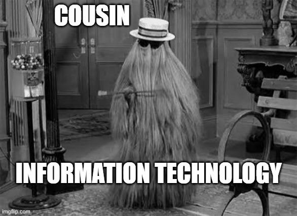 cousin it | COUSIN INFORMATION TECHNOLOGY | image tagged in cousin it | made w/ Imgflip meme maker