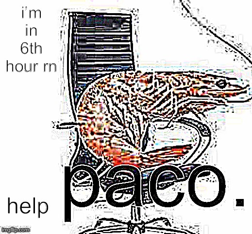 paco | i’m in 6th hour rn; help | image tagged in paco | made w/ Imgflip meme maker