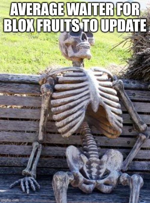 "It won't be much longer!" Ahh waiters | AVERAGE WAITER FOR BLOX FRUITS TO UPDATE | image tagged in memes,waiting skeleton,roblox | made w/ Imgflip meme maker