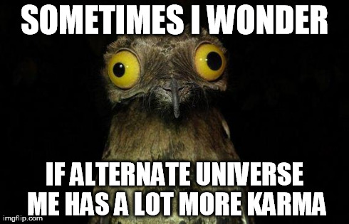 Weird Stuff I Do Potoo Meme | SOMETIMES I WONDER IF ALTERNATE UNIVERSE ME HAS A LOT MORE KARMA | image tagged in memes,weird stuff i do potoo,AdviceAnimals | made w/ Imgflip meme maker