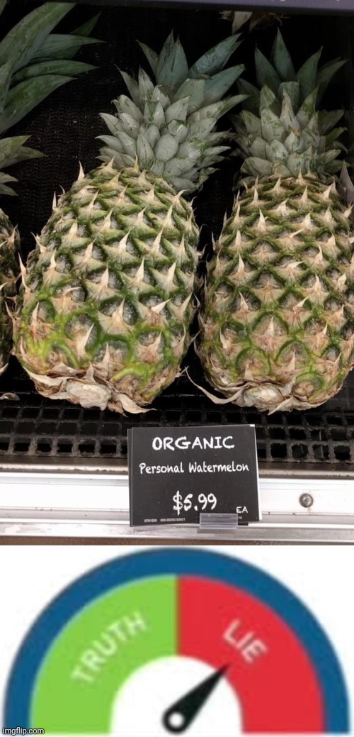 Personal Watermelon | image tagged in incorrect buzzer,pineapple,pineapples,watermelon,you had one job,memes | made w/ Imgflip meme maker