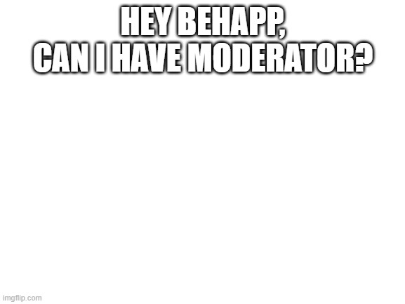 Please? | HEY BEHAPP, CAN I HAVE MODERATOR? | image tagged in blank white template | made w/ Imgflip meme maker