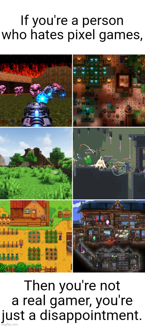 Real | If you're a person who hates pixel games, Then you're not a real gamer, you're just a disappointment. | image tagged in minecraft,terraria,core keeper,stardew valley,risk of rain returns,doom 64 | made w/ Imgflip meme maker