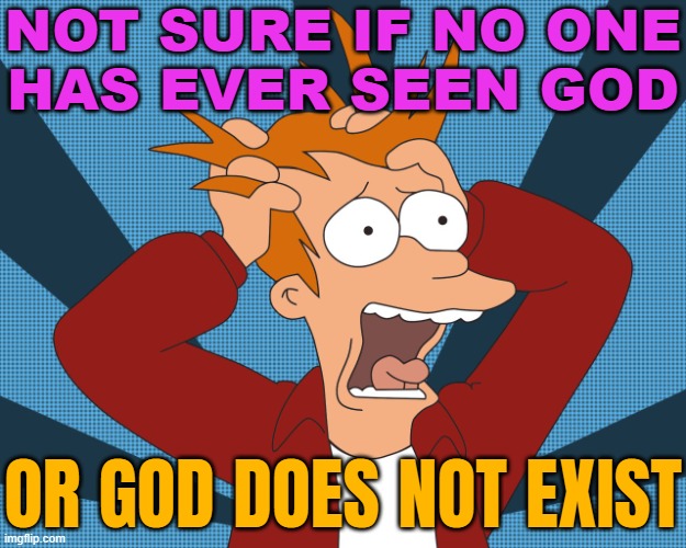 Not Sure If No One Has Ever Seen God; Or God Does Not Exist | NOT SURE IF NO ONE
HAS EVER SEEN GOD; OR GOD DOES NOT EXIST | image tagged in futurama fry screaming,god,anti-religion,god religion universe,religion,abrahamic religions | made w/ Imgflip meme maker