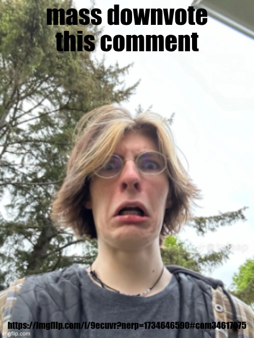 Man disgusted | mass downvote this comment; https://imgflip.com/i/9ecuvr?nerp=1734646590#com34617075 | image tagged in man disgusted | made w/ Imgflip meme maker