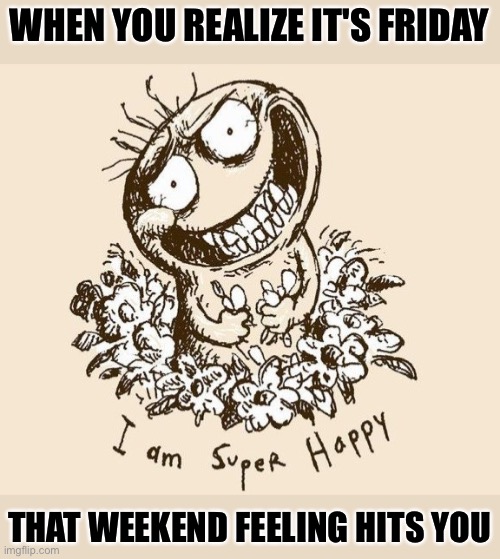 So happy | WHEN YOU REALIZE IT'S FRIDAY; THAT WEEKEND FEELING HITS YOU | image tagged in super happy | made w/ Imgflip meme maker