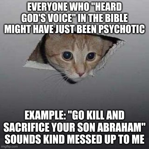 hearing voices | EVERYONE WHO "HEARD GOD'S VOICE" IN THE BIBLE MIGHT HAVE JUST BEEN PSYCHOTIC; EXAMPLE: "GO KILL AND SACRIFICE YOUR SON ABRAHAM"
SOUNDS KIND MESSED UP TO ME | image tagged in memes,ceiling cat,voices,christianity,messed up | made w/ Imgflip meme maker