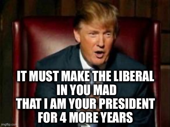 IT MUST MAKE THE LIBERAL 
IN YOU MAD
THAT I AM YOUR PRESIDENT 
FOR 4 MORE YEARS | image tagged in donald trump | made w/ Imgflip meme maker