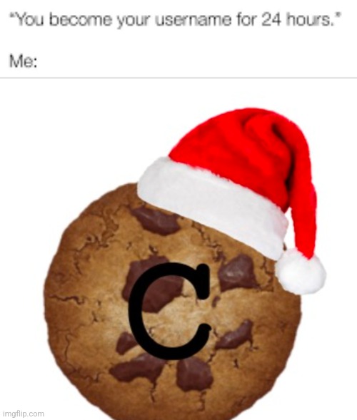 "ErM aCtUaLlY tHaTs A cOoKiE-" shut. | image tagged in you become your username for 24 hours | made w/ Imgflip meme maker