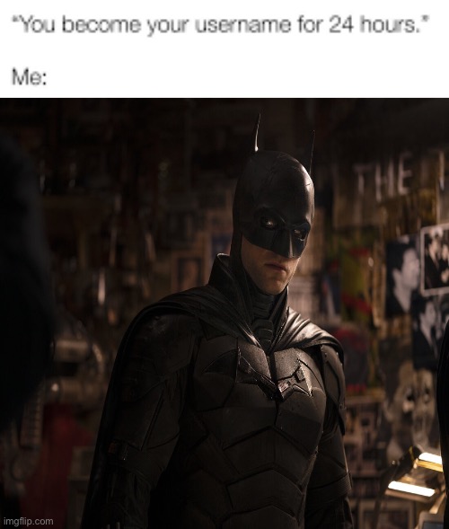 I’m already Batman so no change (I’ll change my username back eventually but for now I have to run with the bit) (there is no bi | image tagged in you become your username for 24 hours | made w/ Imgflip meme maker