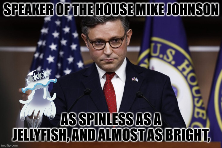 Make him a republican't | SPEAKER OF THE HOUSE MIKE JOHNSON; AS SPINLESS AS A JELLYFISH, AND ALMOST AS BRIGHT, | image tagged in speaker of the house mike johnson | made w/ Imgflip meme maker