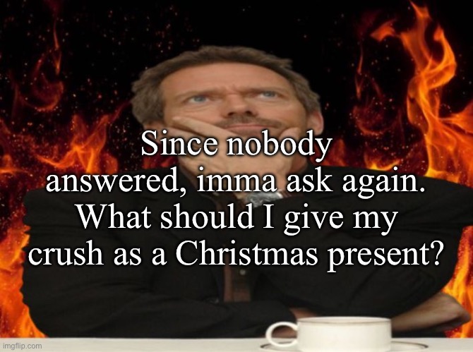 Dr House MD | Since nobody answered, imma ask again. What should I give my crush as a Christmas present? | image tagged in dr house md | made w/ Imgflip meme maker