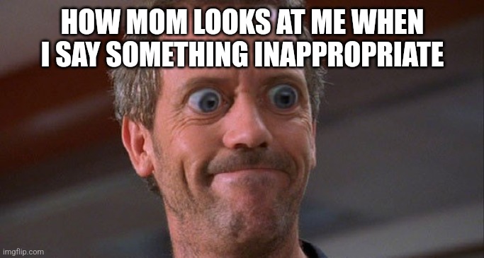 House Envy Do Want Big Eyes | HOW MOM LOOKS AT ME WHEN I SAY SOMETHING INAPPROPRIATE | image tagged in house envy do want big eyes | made w/ Imgflip meme maker