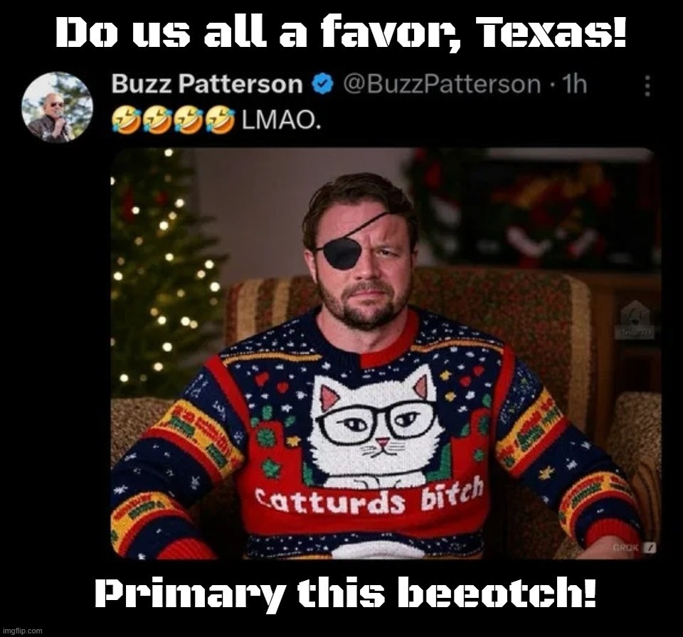 Do us all a favor, Texas! | image tagged in texas,primary,dan crenshaw,eyepatch mccain,cuck,rino | made w/ Imgflip meme maker