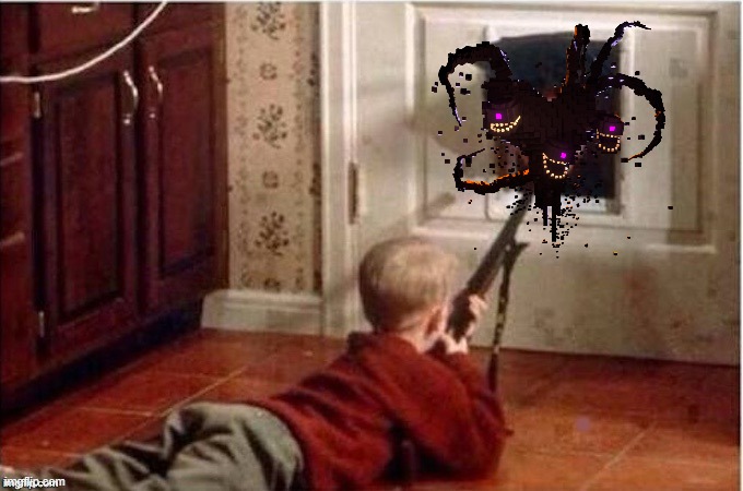 Home Alone | image tagged in home alone | made w/ Imgflip meme maker