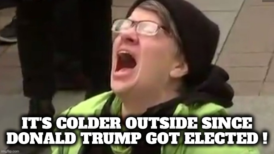 TDS causes Brain Rot | IT'S COLDER OUTSIDE SINCE DONALD TRUMP GOT ELECTED ! | image tagged in screaming liberal,trump's fault,everything,stupid liberals,trump derangement syndrome,brain rot | made w/ Imgflip meme maker