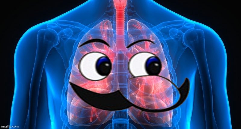 lungs | image tagged in lungs | made w/ Imgflip meme maker