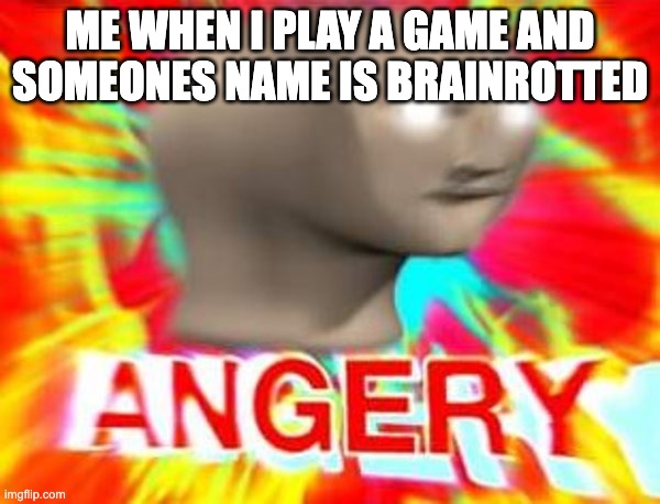 Surreal Angery | ME WHEN I PLAY A GAME AND SOMEONES NAME IS BRAINROTTED | image tagged in surreal angery | made w/ Imgflip meme maker