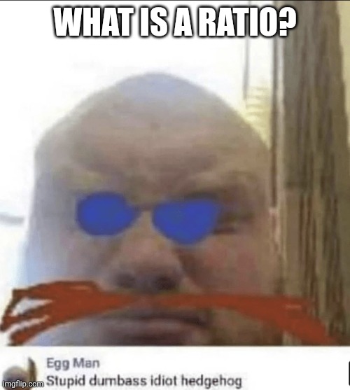 Shitpost | WHAT IS A RATIO? | image tagged in shitpost | made w/ Imgflip meme maker