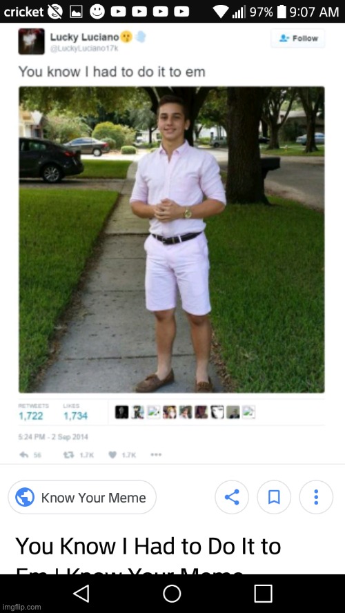 9ed48l.jpg
