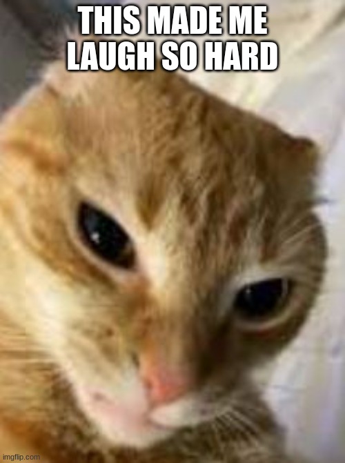 cat | THIS MADE ME LAUGH SO HARD | image tagged in rizz cat | made w/ Imgflip meme maker