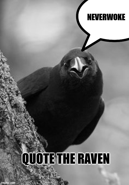 Why Raven | NEVERWOKE QUOTE THE RAVEN | image tagged in why raven | made w/ Imgflip meme maker