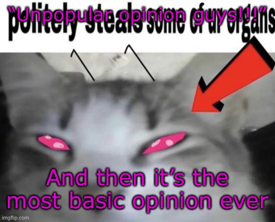 *politely steals some of ur organs* | “Unpopular opinion guys!!!”; And then it’s the most basic opinion ever | image tagged in politely steals some of ur organs | made w/ Imgflip meme maker