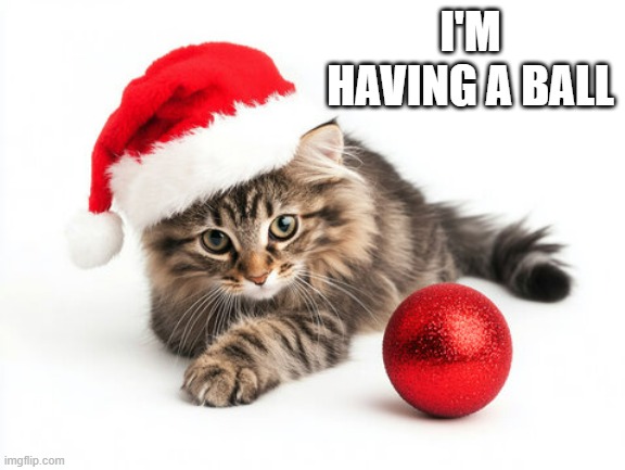 memes by Brad - The kitten is having a ball at Christmas time | I'M HAVING A BALL | image tagged in cats,kittens,playing,christmas,santa claus,funny | made w/ Imgflip meme maker