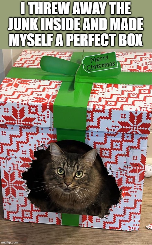 memes by Brad - My cat threw away the Christmas present and kept the box | I THREW AWAY THE JUNK INSIDE AND MADE MYSELF A PERFECT BOX | image tagged in cats,kitten,boxes,christmas,presents,funny | made w/ Imgflip meme maker