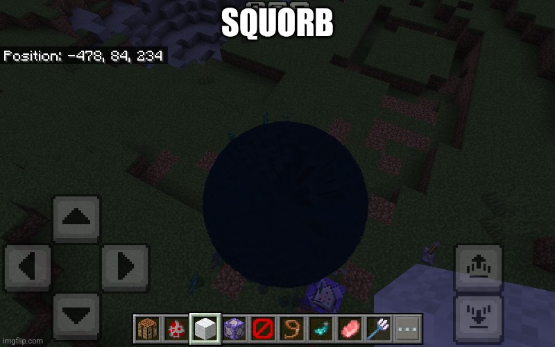 A squorb | SQUORB | image tagged in squid | made w/ Imgflip meme maker