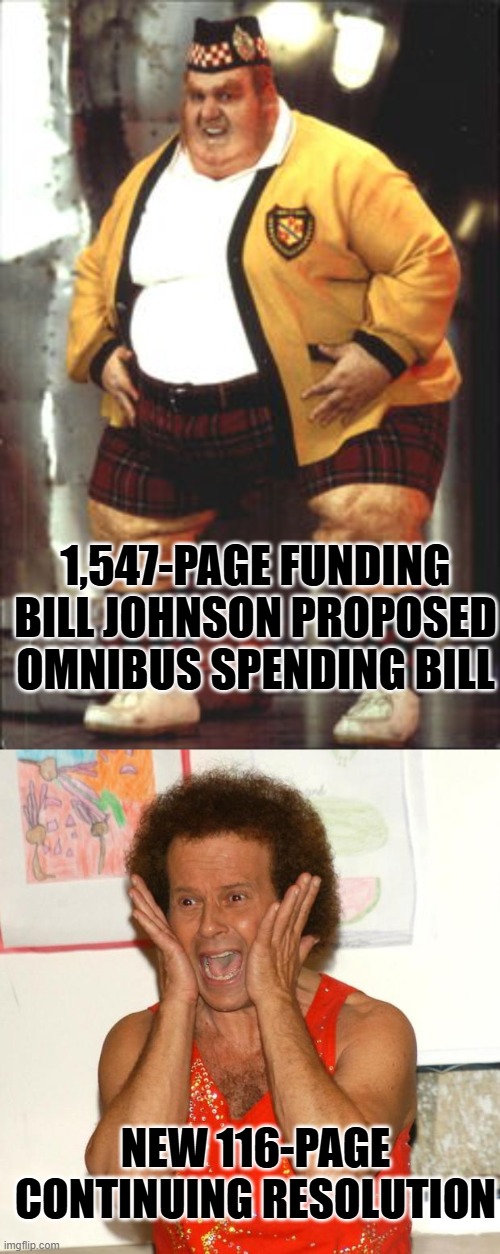 dems want pork | 1,547-PAGE FUNDING BILL JOHNSON PROPOSED OMNIBUS SPENDING BILL; NEW 116-PAGE CONTINUING RESOLUTION | image tagged in fat man has something crude to say,richard simmons | made w/ Imgflip meme maker