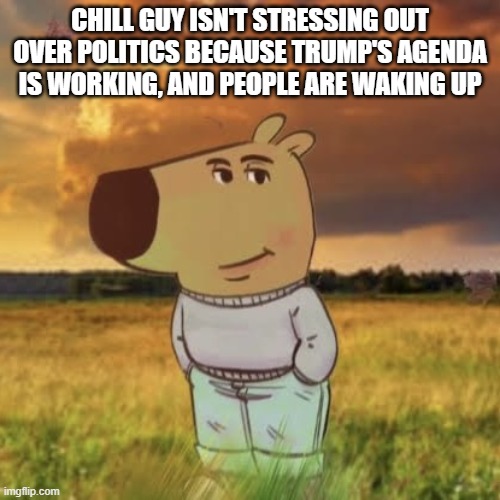 Sit Back & Relax | CHILL GUY ISN'T STRESSING OUT OVER POLITICS BECAUSE TRUMP'S AGENDA IS WORKING, AND PEOPLE ARE WAKING UP | image tagged in chill guy,trump in control,commander in chief | made w/ Imgflip meme maker