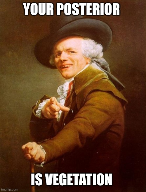 Joseph Ducreux | YOUR POSTERIOR; IS VEGETATION | image tagged in memes,joseph ducreux | made w/ Imgflip meme maker