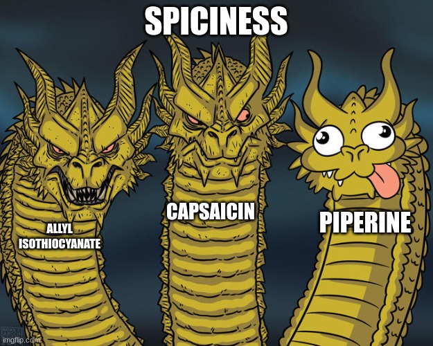 Three-headed Dragon | SPICINESS; CAPSAICIN; PIPERINE; ALLYL ISOTHIOCYANATE | image tagged in three-headed dragon | made w/ Imgflip meme maker