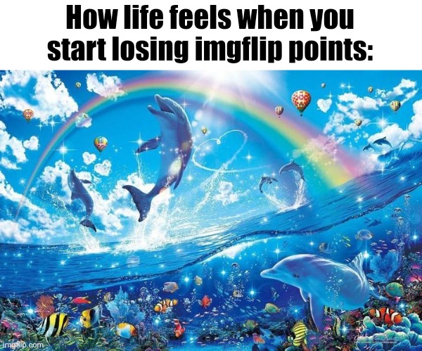 Happy dolphin rainbow | How life feels when you start losing imgflip points: | image tagged in happy dolphin rainbow | made w/ Imgflip meme maker