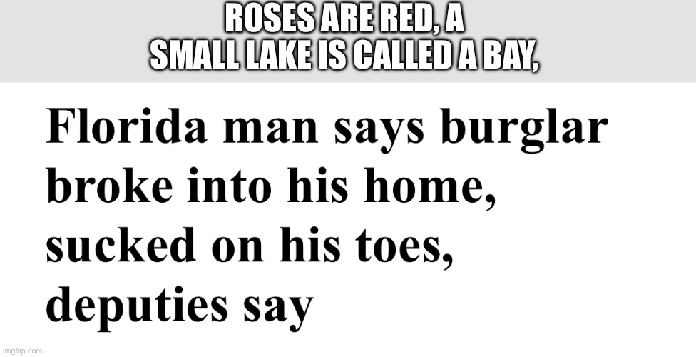 WHAT | ROSES ARE RED, A SMALL LAKE IS CALLED A BAY, | image tagged in florida,florida man,meanwhile in florida,memes | made w/ Imgflip meme maker