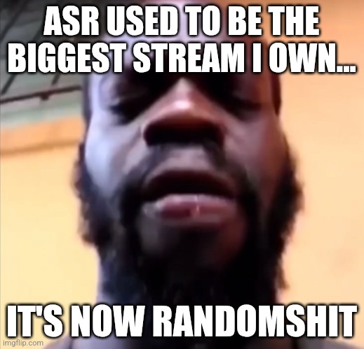 Ever since Ninja gave me owner in the stream | ASR USED TO BE THE BIGGEST STREAM I OWN... IT'S NOW RANDOMSHIT | image tagged in aaaaaa i hate this stupid phone | made w/ Imgflip meme maker