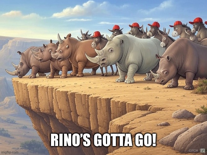 RINOs | RINO’S GOTTA GO! | image tagged in primary | made w/ Imgflip meme maker