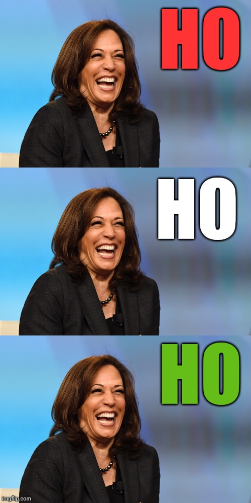 HO HO HO | image tagged in kamala harris laughing | made w/ Imgflip meme maker