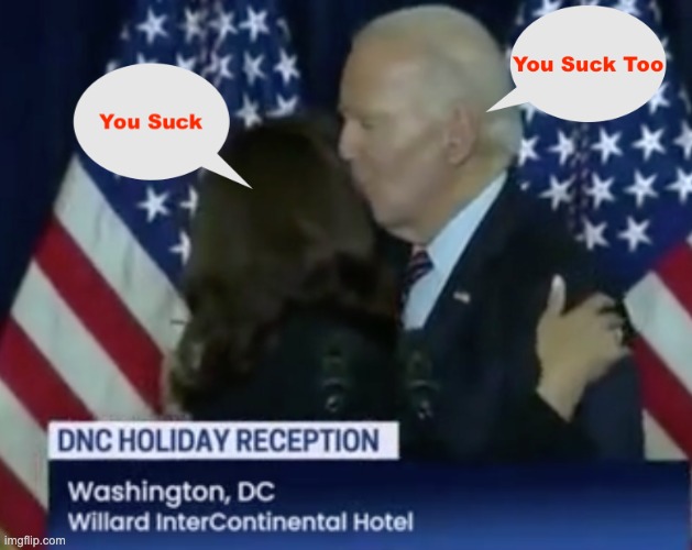 Can't You Feel The Joy? | image tagged in joe biden,kamala harris | made w/ Imgflip meme maker