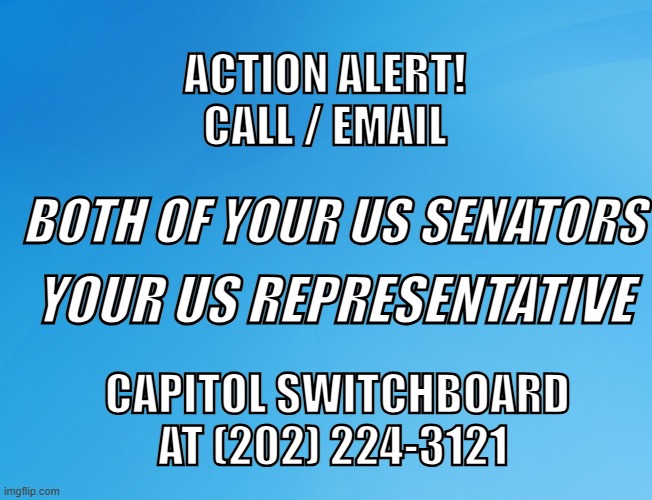 Blue Background 42 | ACTION ALERT!
CALL / EMAIL; BOTH OF YOUR US SENATORS; YOUR US REPRESENTATIVE; CAPITOL SWITCHBOARD AT (202) 224-3121 | image tagged in blue background 42 | made w/ Imgflip meme maker