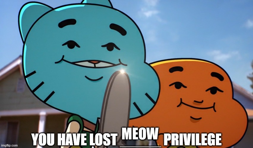 You have lost X privilege | MEOW | image tagged in you have lost x privilege | made w/ Imgflip meme maker