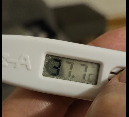 Fever Blank Meme Template