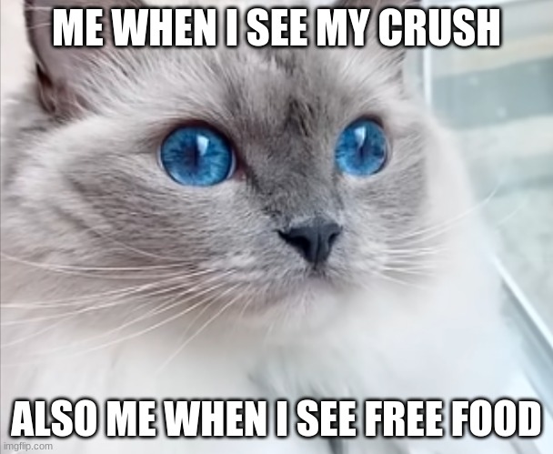 Blue | ME WHEN I SEE MY CRUSH; ALSO ME WHEN I SEE FREE FOOD | image tagged in blue | made w/ Imgflip meme maker