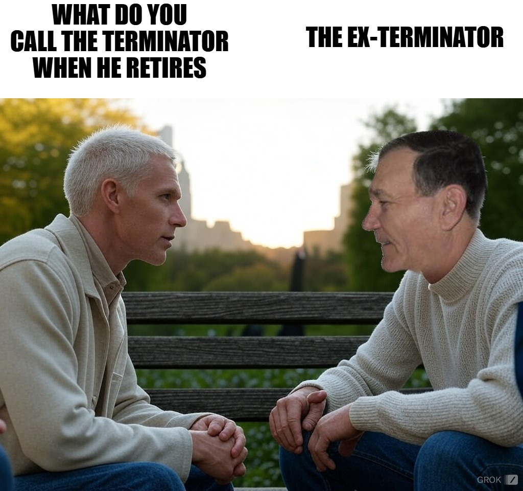 WHAT DO YOU CALL THE TERMINATOR WHEN HE RETIRES; THE EX-TERMINATOR | made w/ Imgflip meme maker